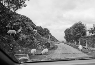 Scotland_8_07-233_SlfPrnt_.jpg