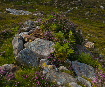 Scotland_8_07-42_SlfPrnt_.jpg