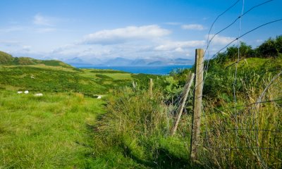 Scotland_8_07-137_SlfPrnt_.jpg