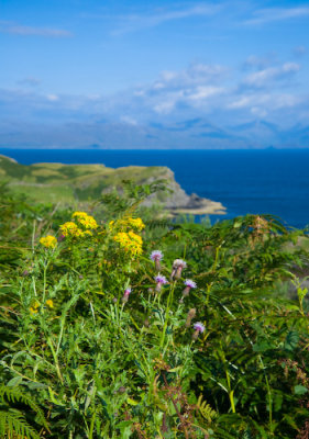 Scotland_8_07-142_SlfPrnt_.jpg