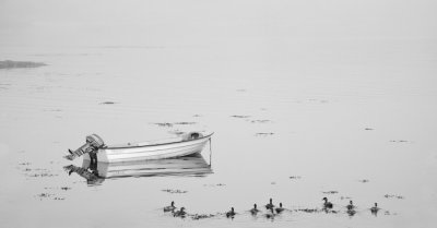 Scotland_8_07-155_SlfPrnt_.jpg