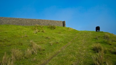Scotland_8_07-17_SlfPrnt_.jpg