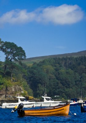 Scotland_8_07-238_SlfPrnt_.jpg