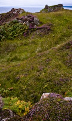 Scotland_8_07-60_SlfPrnt_.jpg