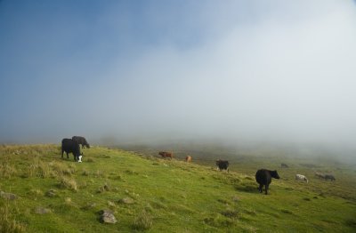 Scotland_8_07-7_SlfPrnt_.jpg