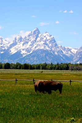 Grand Tetons