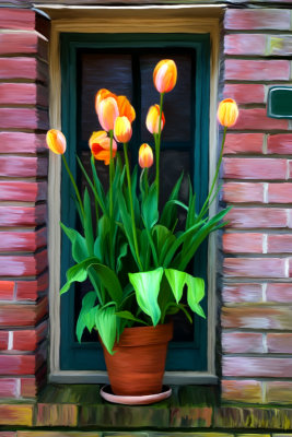 Tulips in the Window