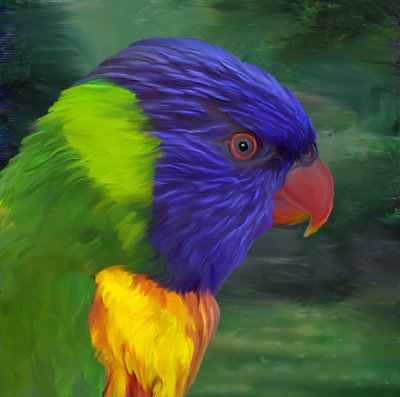 parrot