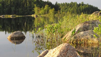 Shoreline