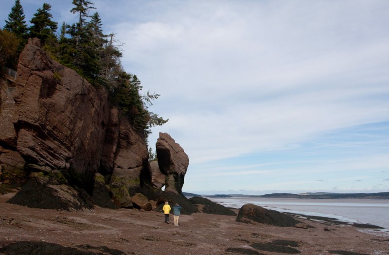 Hopewell Cape Stacks low tide