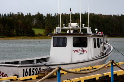 Fishing Not  So Good Lately?