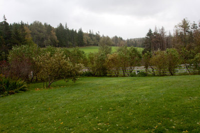 AOGG Back Yard