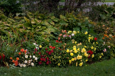 AOGG Flower Garden
