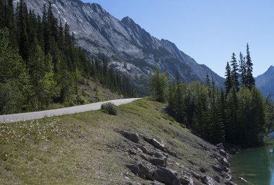 Maligne Lake Access Road