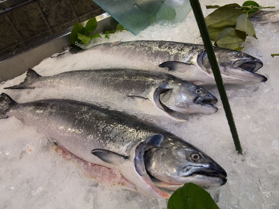 Open Market fish