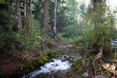 Hayden Creek 50 feet behind our camp