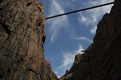 Looking up, Royal Gorge