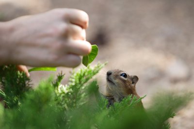 Hey, what ya got?