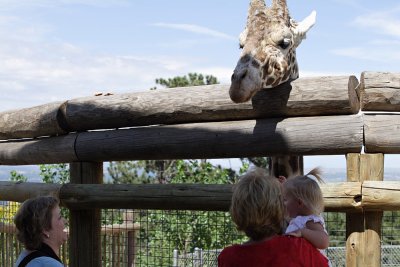 Big head! Cheyenne Mountain Zoo