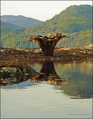 Discovery Islands