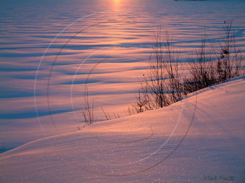 Pink Sunrise