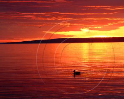  Lake Nipissing Sunset North Bay, Ontario