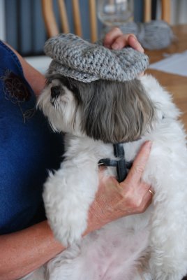 DSC_1762.JPG