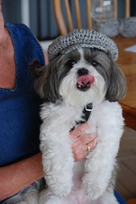DSC_1764.JPG