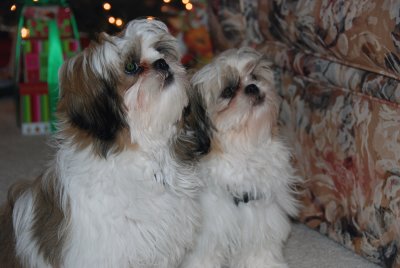 emily_and_riley_christmas
