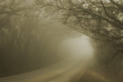 fog1.jpg