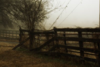 fog4.jpg