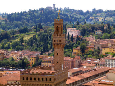 palazzovecchioview.jpg