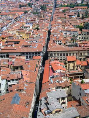 roofsview.jpg