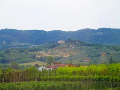 tuscanyfrombus.jpg
