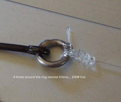 knots 007a.jpg