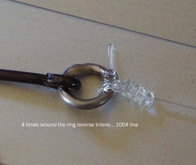 knots 007b.jpg