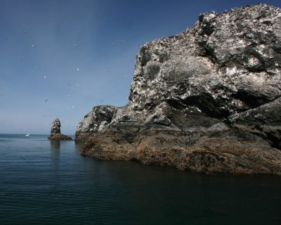 Gull island back view_07.JPG