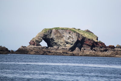 Watch how Elephant Rock raises its trunk as your boat passes by!