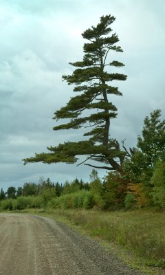 DSC02477.JPG