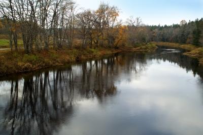 PICT0572.jpg