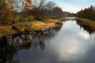 PICT0574.jpg