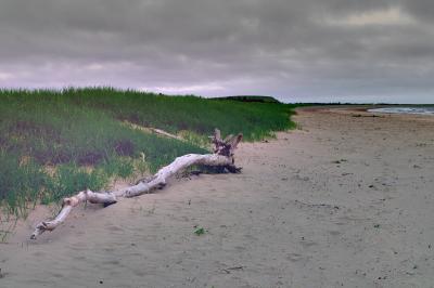 Conrad Beach. Laurancetown, NS
