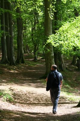 28-05-06 the woodsman