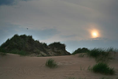 28-06-06 dunes