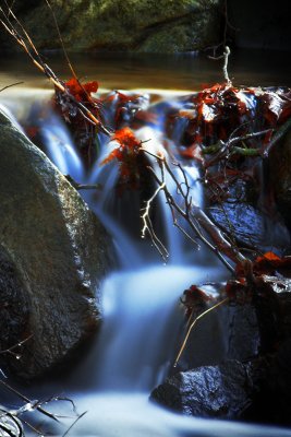 17-01-08 puddling.