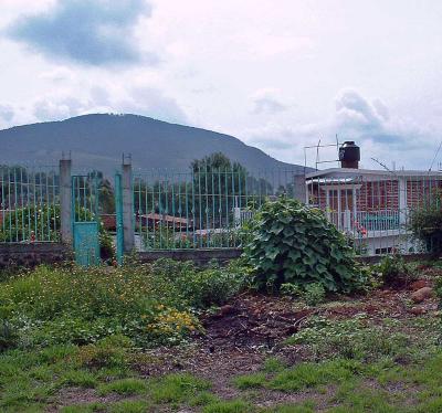g4/58/45558/3/61514595.cb_yard.jpg