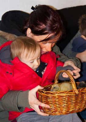 AshendHouseFarm05.jpg