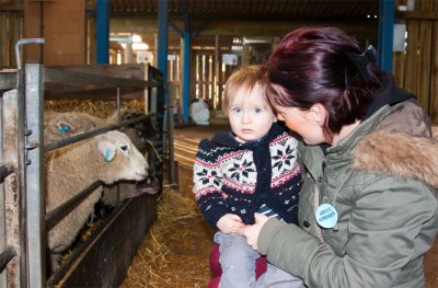 AshendHouseFarm22.jpg