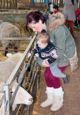 AshendHouseFarm24.jpg