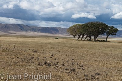 Tanzanie